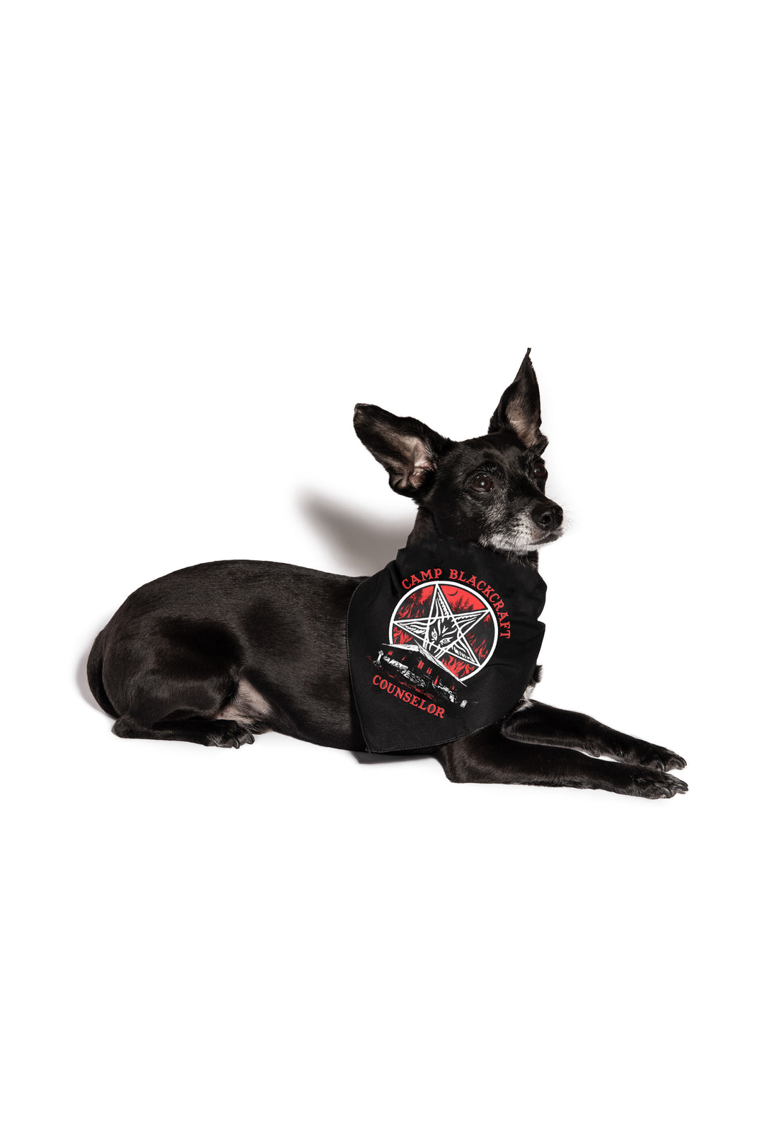 A small black pet bandana for dogs, from Blackcraft