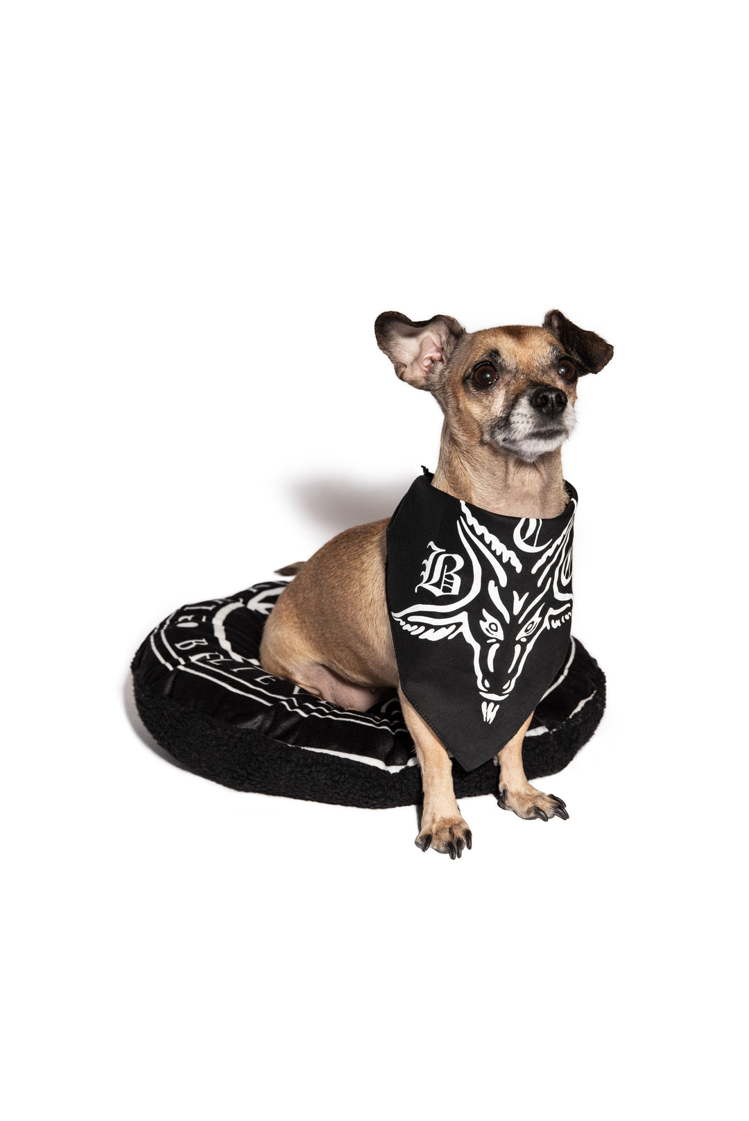 A small black pet bandana for dogs, from Blackcraft